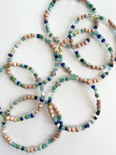 Load image into Gallery viewer, Silver Seaturtles