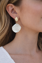 Load image into Gallery viewer, Scallop Shell Earrings